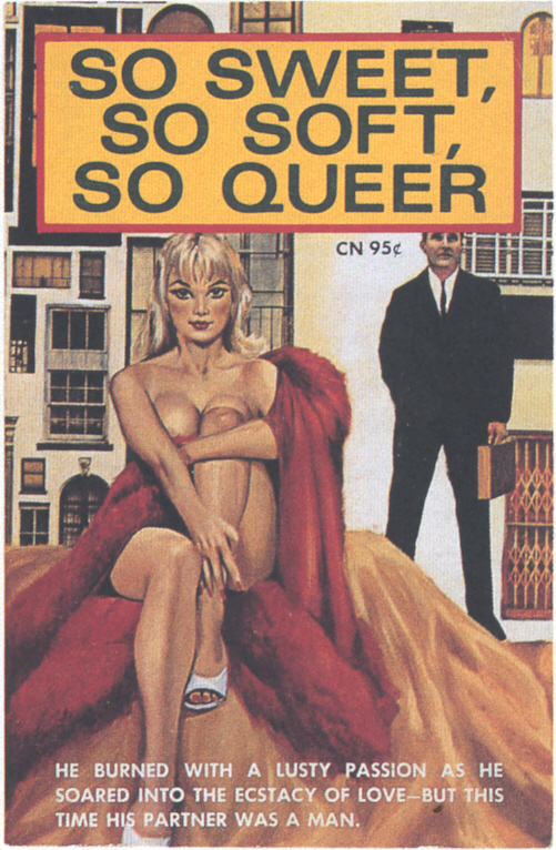Notes on So Sweet, So Soft, So Queer (1965)