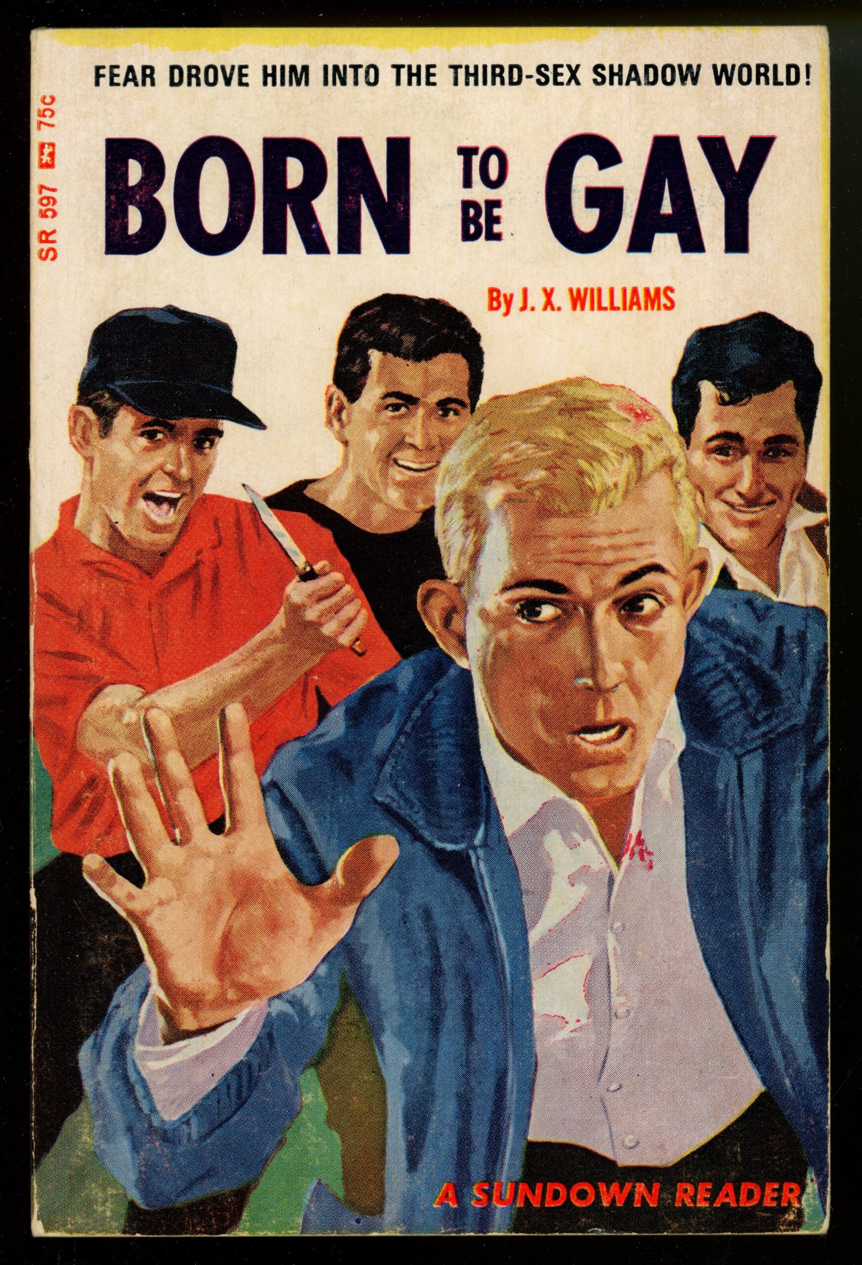 Notes on Born to Be Gay (1966)